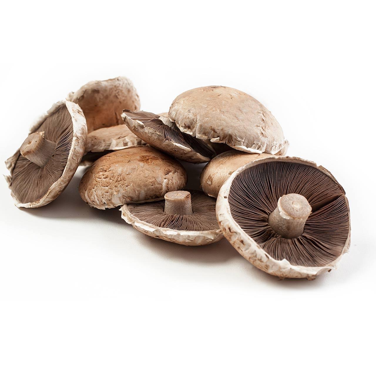 Ocado Organic Portabellini Mushrooms 200g