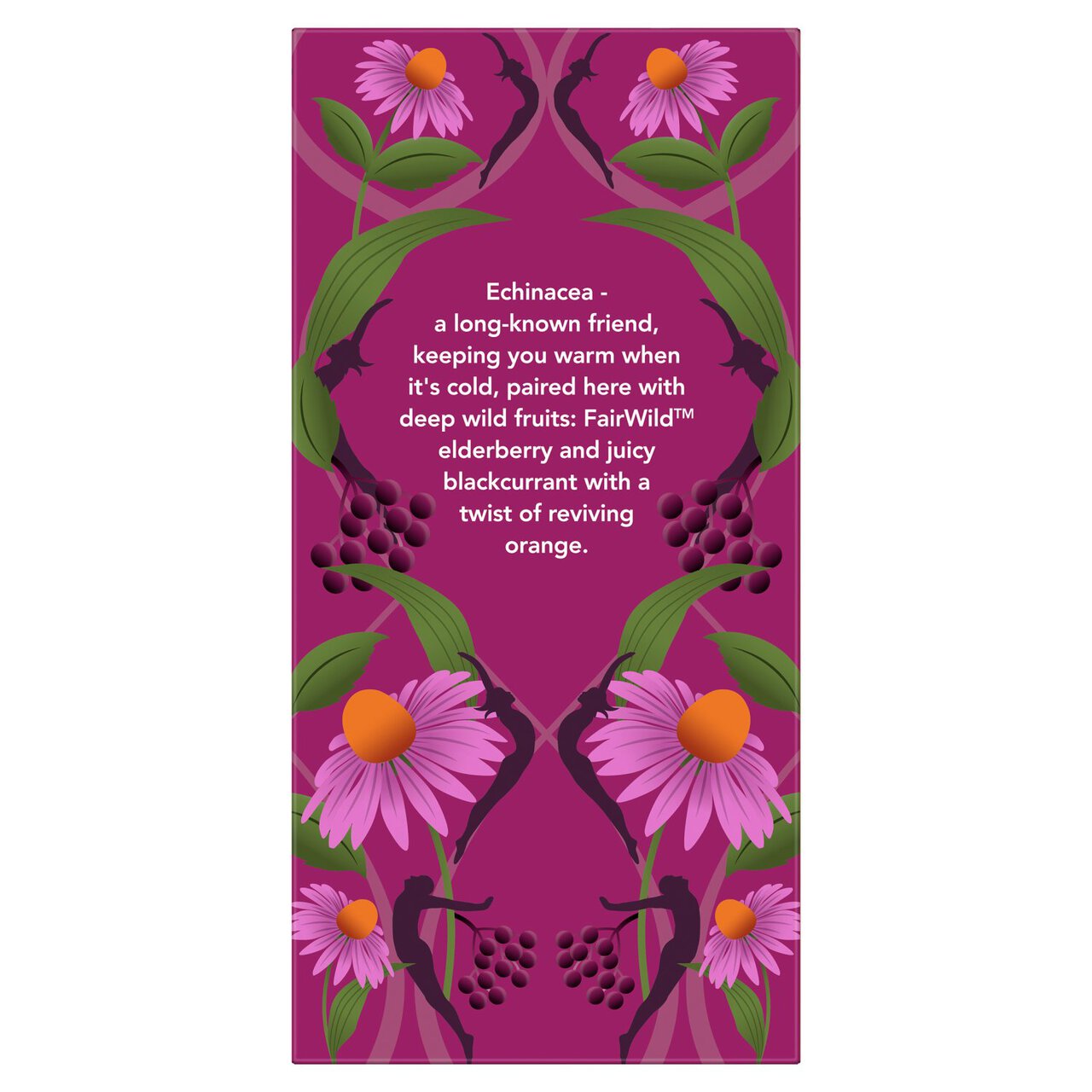 Pukka Tea Herbs Elderberry & Echinacea with Elderflower Tea Bags 20 per pack