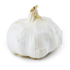 Natoora Large Spanish Garlic