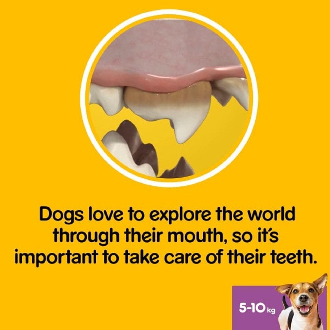 Pedigree Dentastix Daily Adult Small Dog Treats 7 x Dental Sticks 7 x 16g