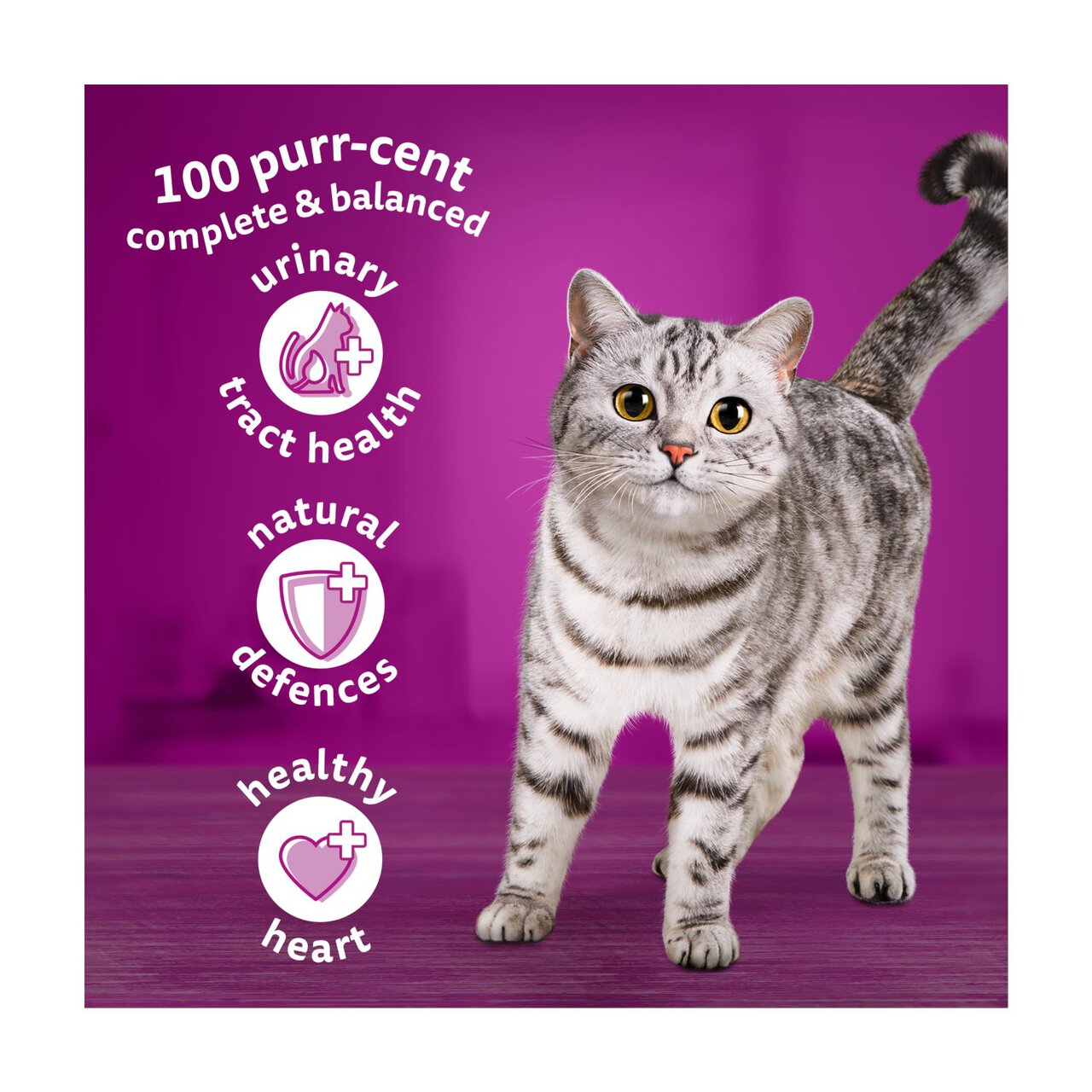 Whiskas 7+ Adult Dry Cat Food with Chicken 800g