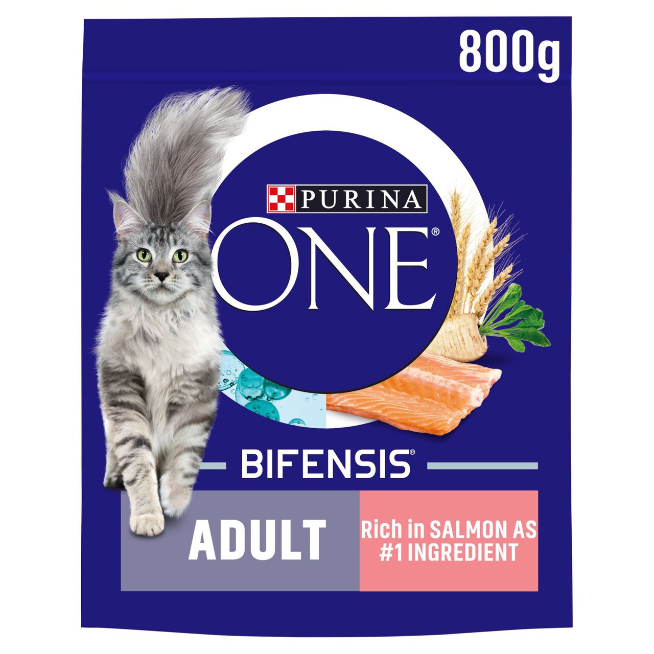 Purina One Salmon Dry Cat Food 800g Zoom