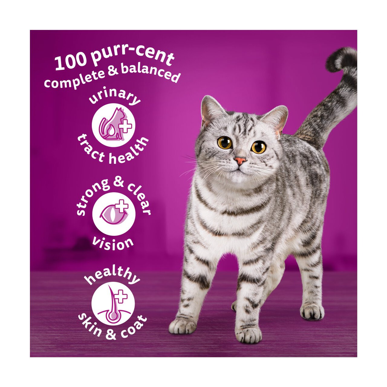 WHISKAS 1+ Cat Complete Dry with Chicken 1.9kg