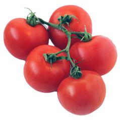 Wholegood Organic Vine Tomatoes 450g