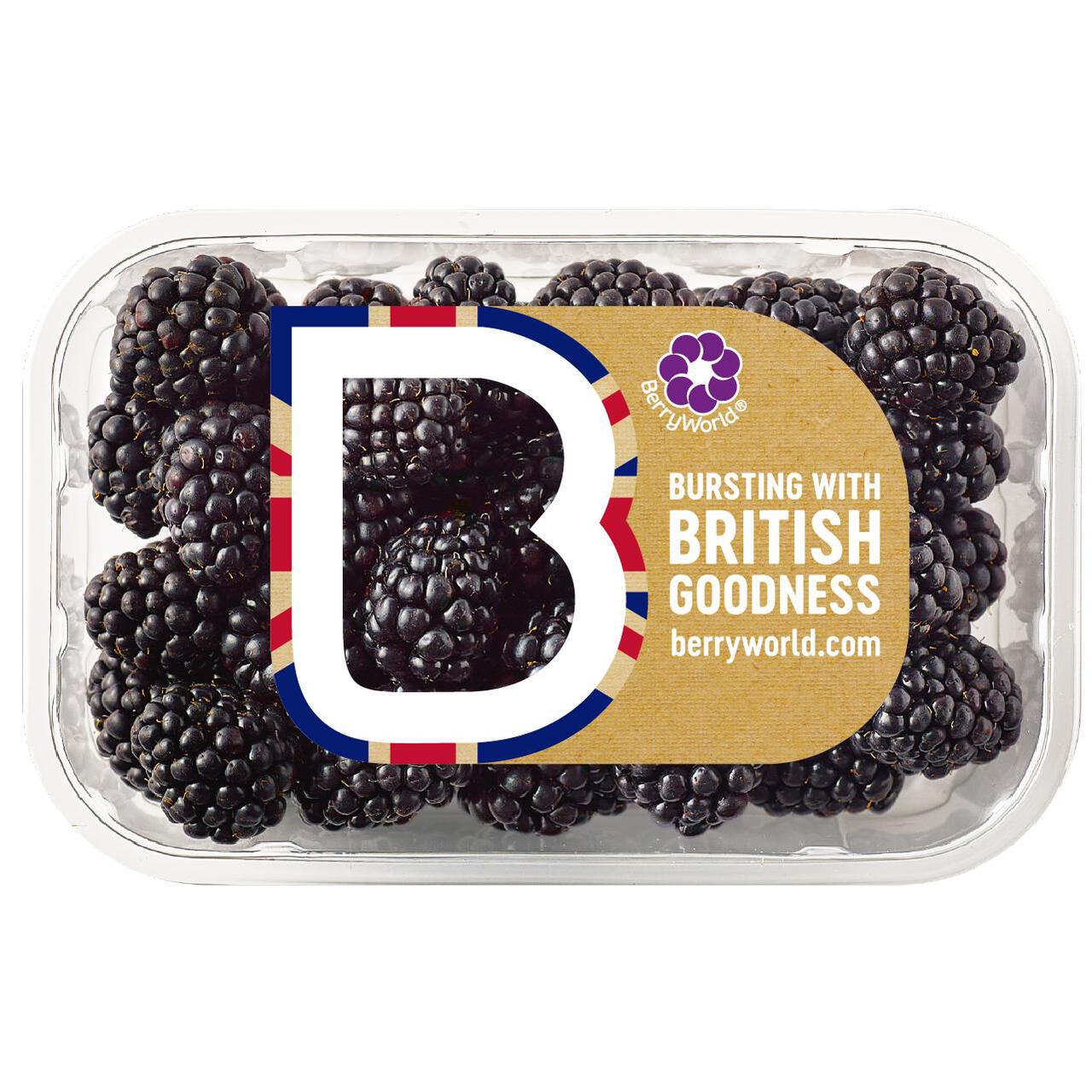 BerryWorld British Blackberries 150g