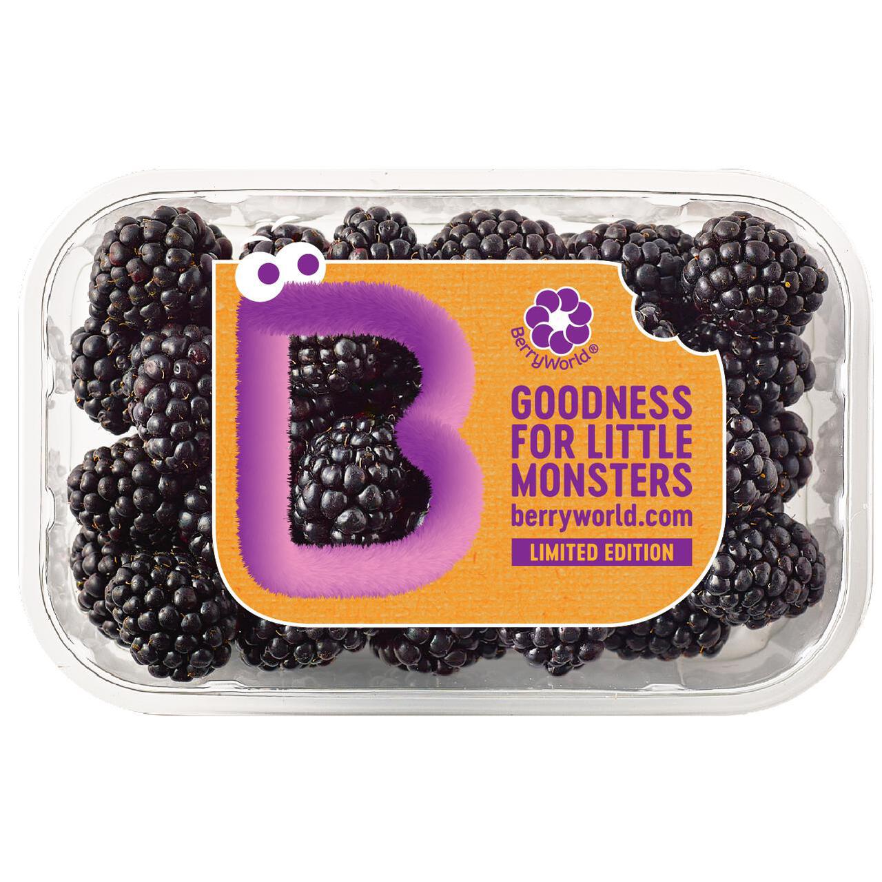BerryWorld Blackberries 150g