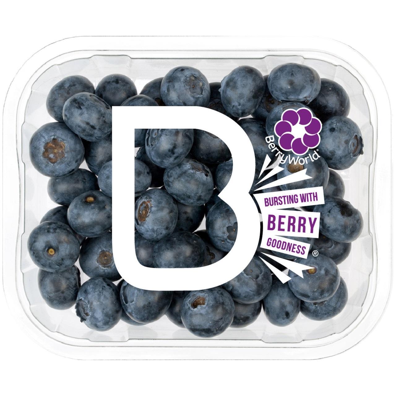BerryWorld Blueberries 200g