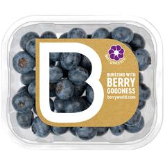BerryWorld Blueberries 150g