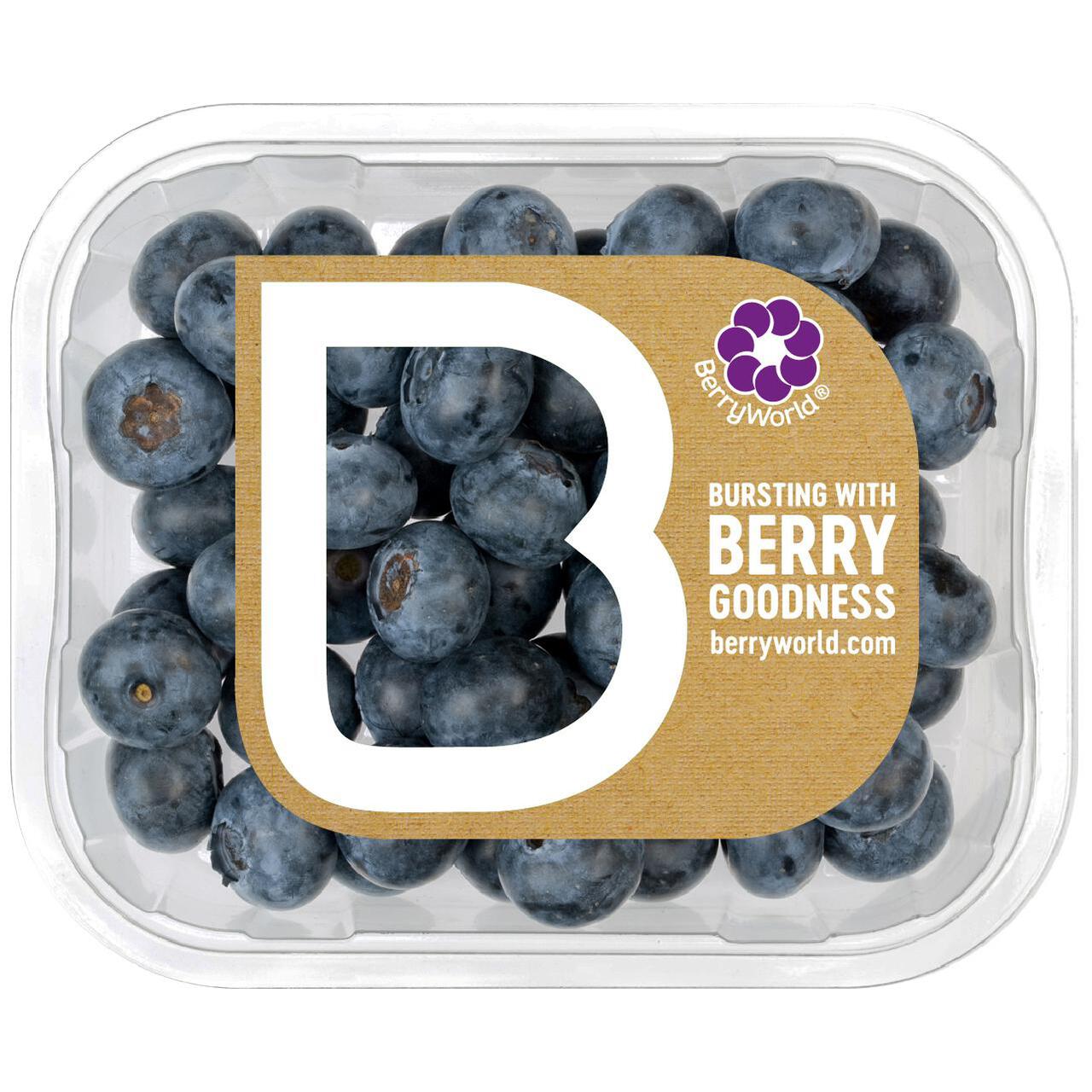 BerryWorld Blueberries 150g