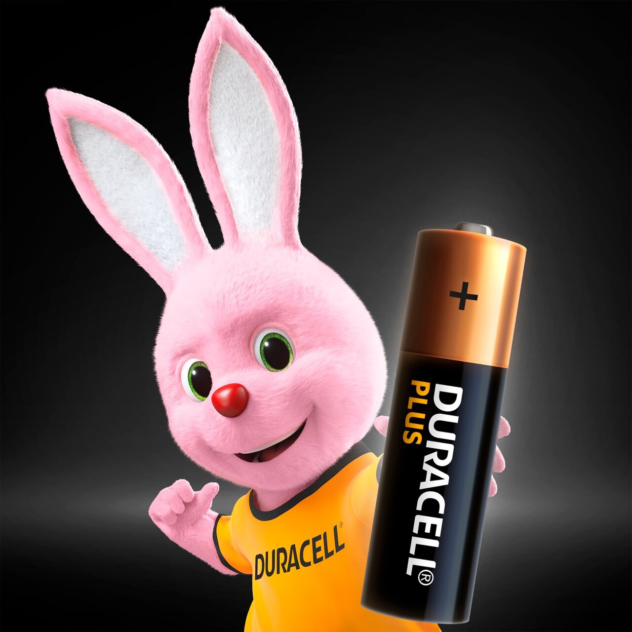 Duracell Plus 100% AA Alkaline Batteries 20 per pack