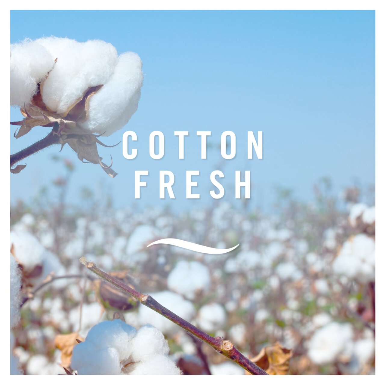 Febreze Aerosol Cotton Fresh Air Freshener 300ml