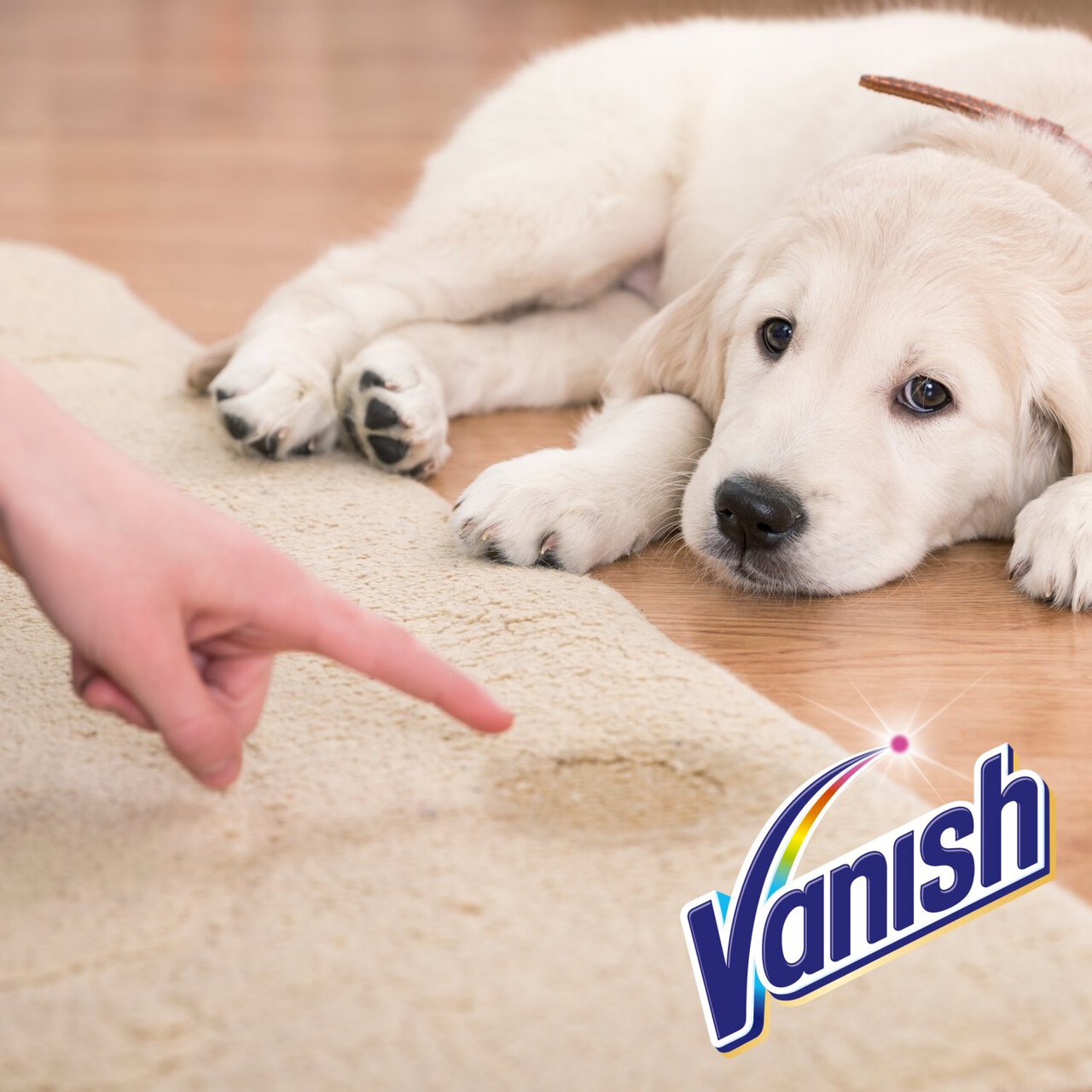 Vanish OxiAction Urine Destroyer Pet Expert 500ml