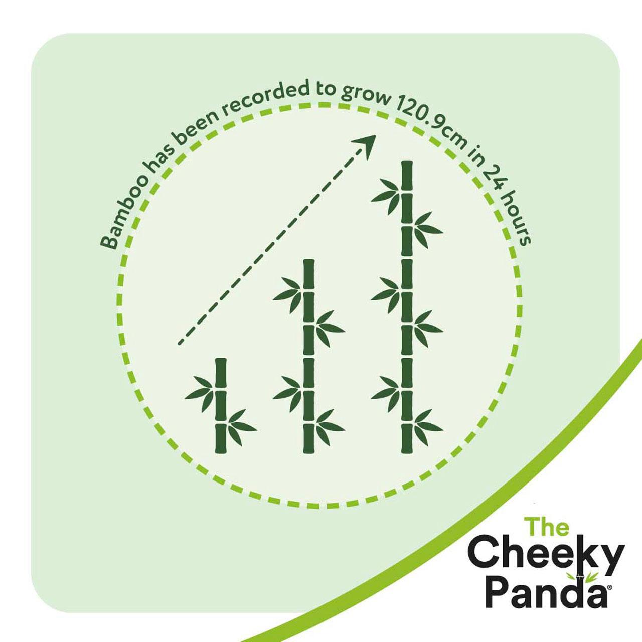 Cheeky Panda Natural Bamboo Facial Tissue 56 per pack