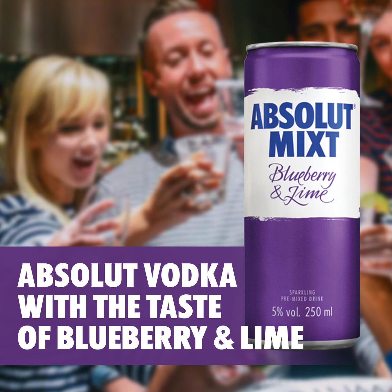 Absolut Mixt Blueberry & Lime Swedish Vodka Pre-Mixed Can 250ml