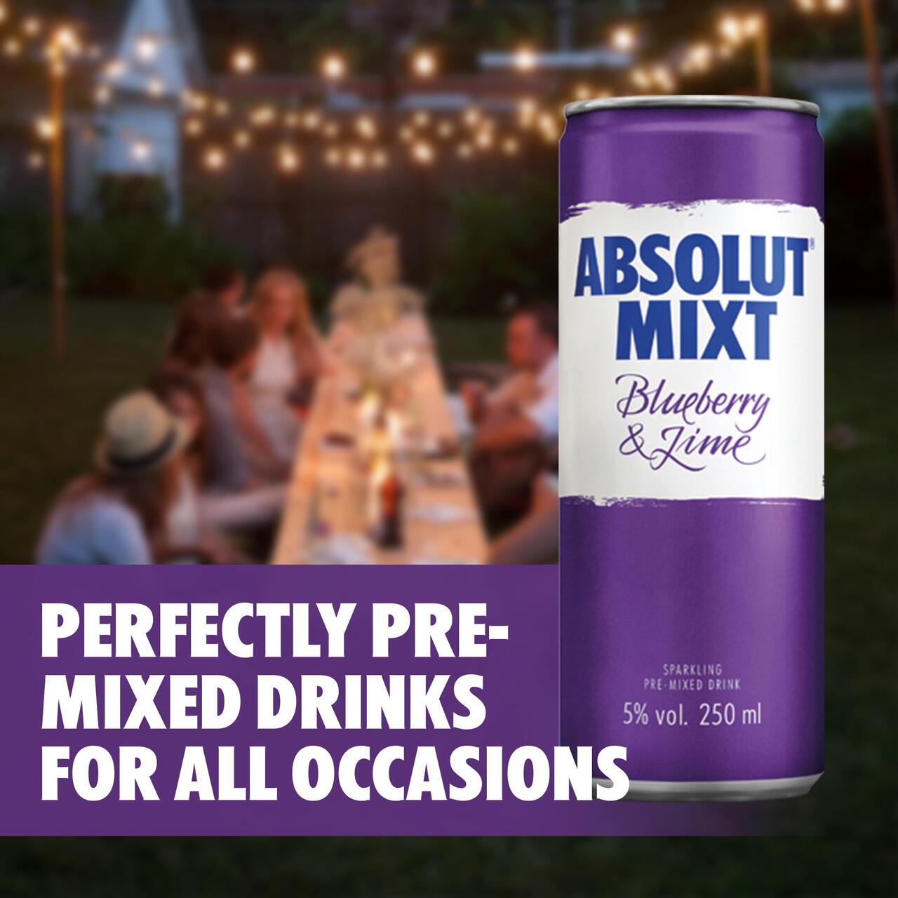 Absolut Mixt Blueberry & Lime Swedish Vodka Can 250ml