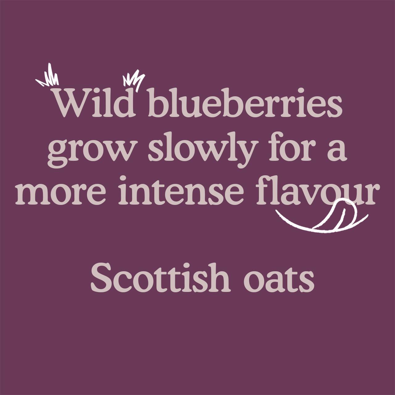 Little Freddie Strawberries, Blueberries & Oats Organic Pouch, 6 mths+ 100g