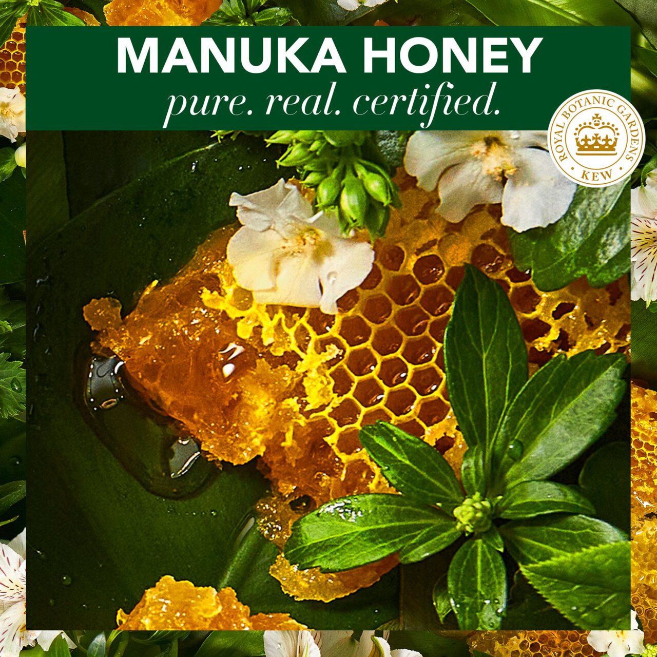 Herbal Essences Bio Renew Manuka Honey Deep Repair Shampoo 400ml