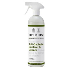 Delphis Eco Anti-Bacterial Sanitiser Spray 700ml