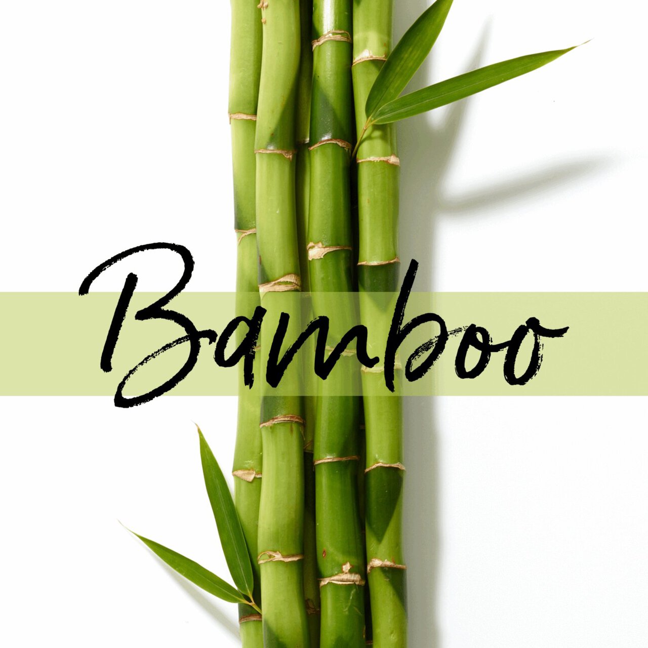 Pantene Strong & Long Keratin Hair Mask With Bamboo & Biotin 160ml