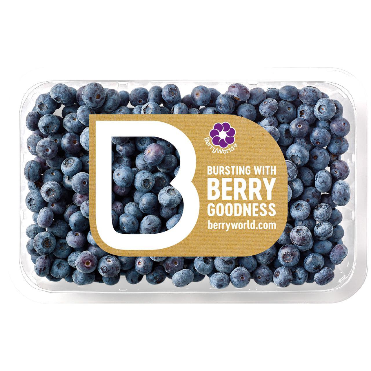 BerryWorld Blueberries 300g