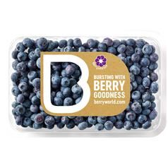 BerryWorld Blueberries 400g