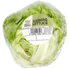 M&S Iceberg Lettuce