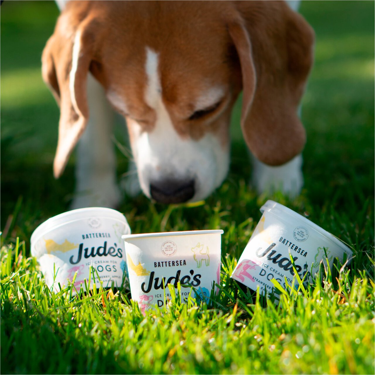 Jude's Ice Cream for Dogs 90ml