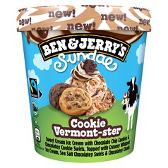 Ben & Jerry's Sundae Cookie-Vermonster Ice Cream Tub 427ml