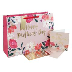 Mother's Day Large Gift Bag and Card