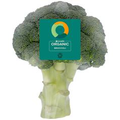 Ocado British Organic Broccoli 300g
