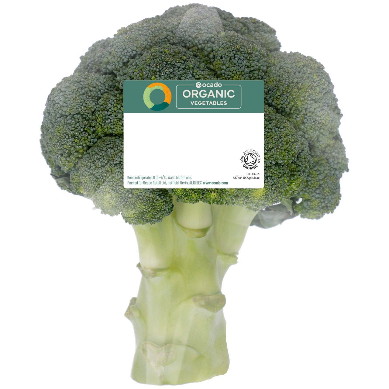 Ocado Organic Broccoli 300g