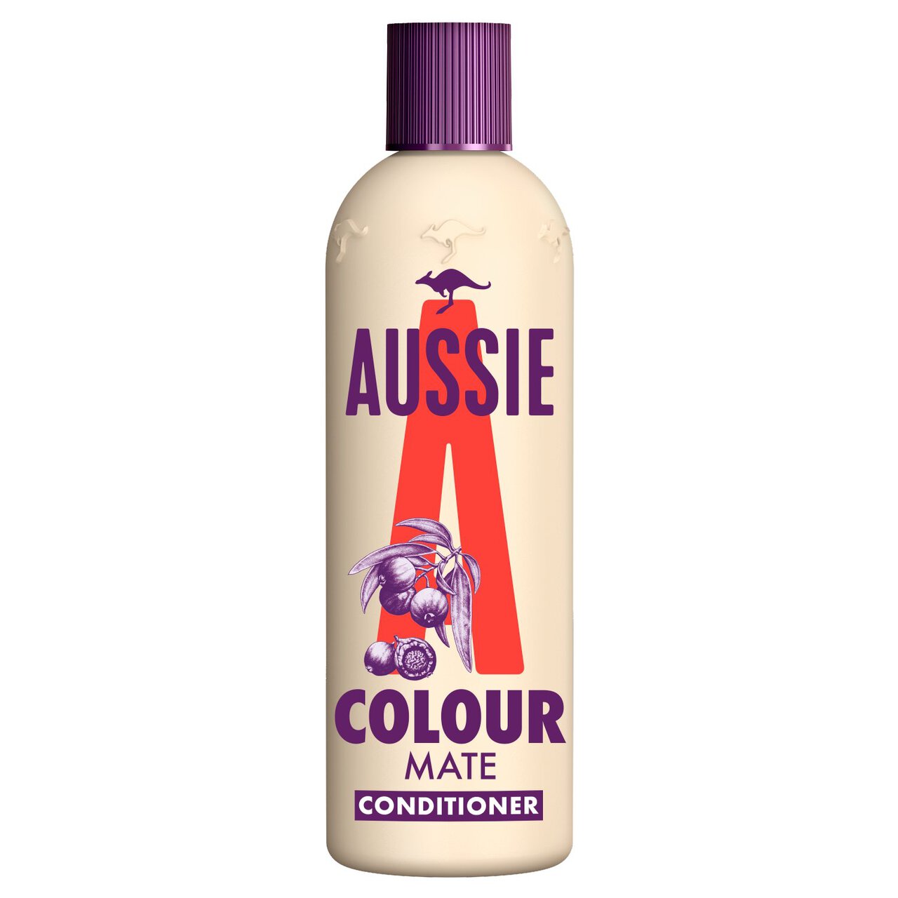 Aussie Colour Mate Hair Conditioner 350ml