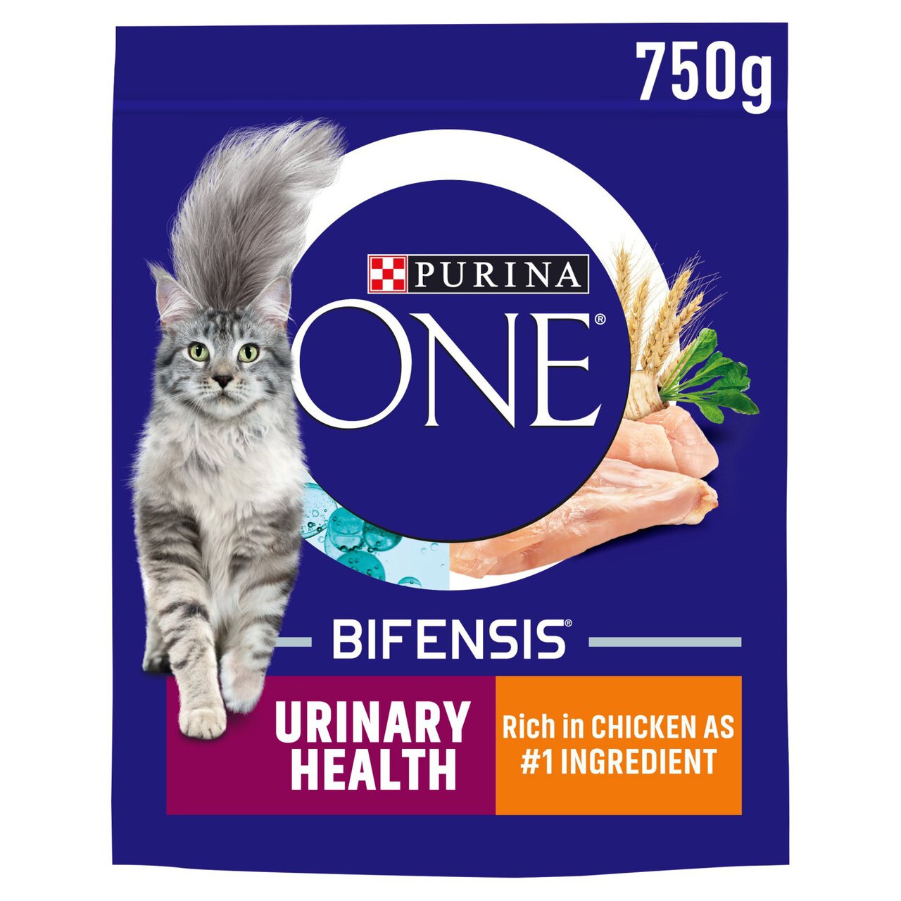 Purina ONE Urinary Care Dry Cat Food Chicken 750g