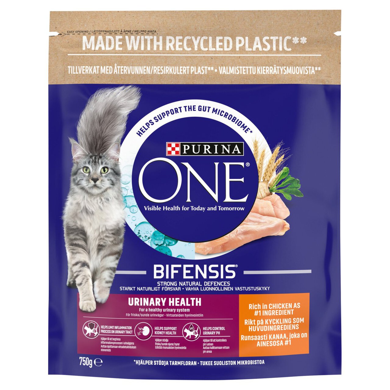 Purina ONE Urinary Care Dry Cat Food Chicken 750g