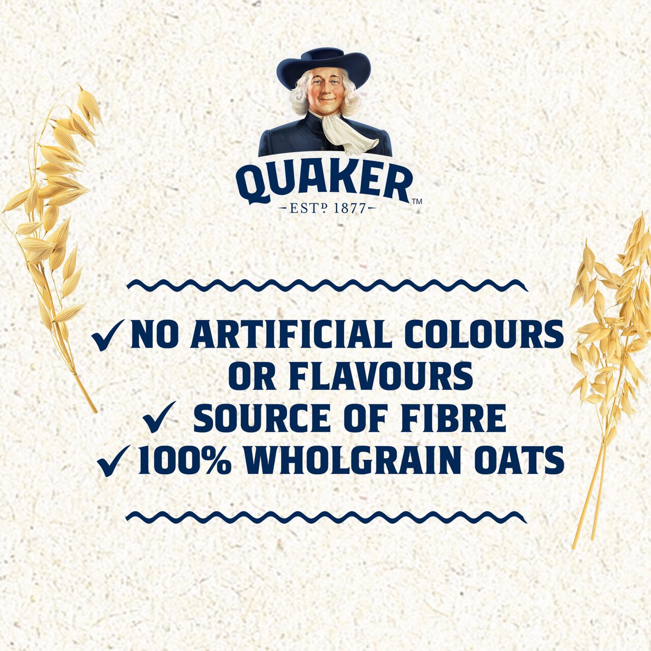 Quaker Oat So Simple Apple & Blueberry Porridge Cereal Pot 57g