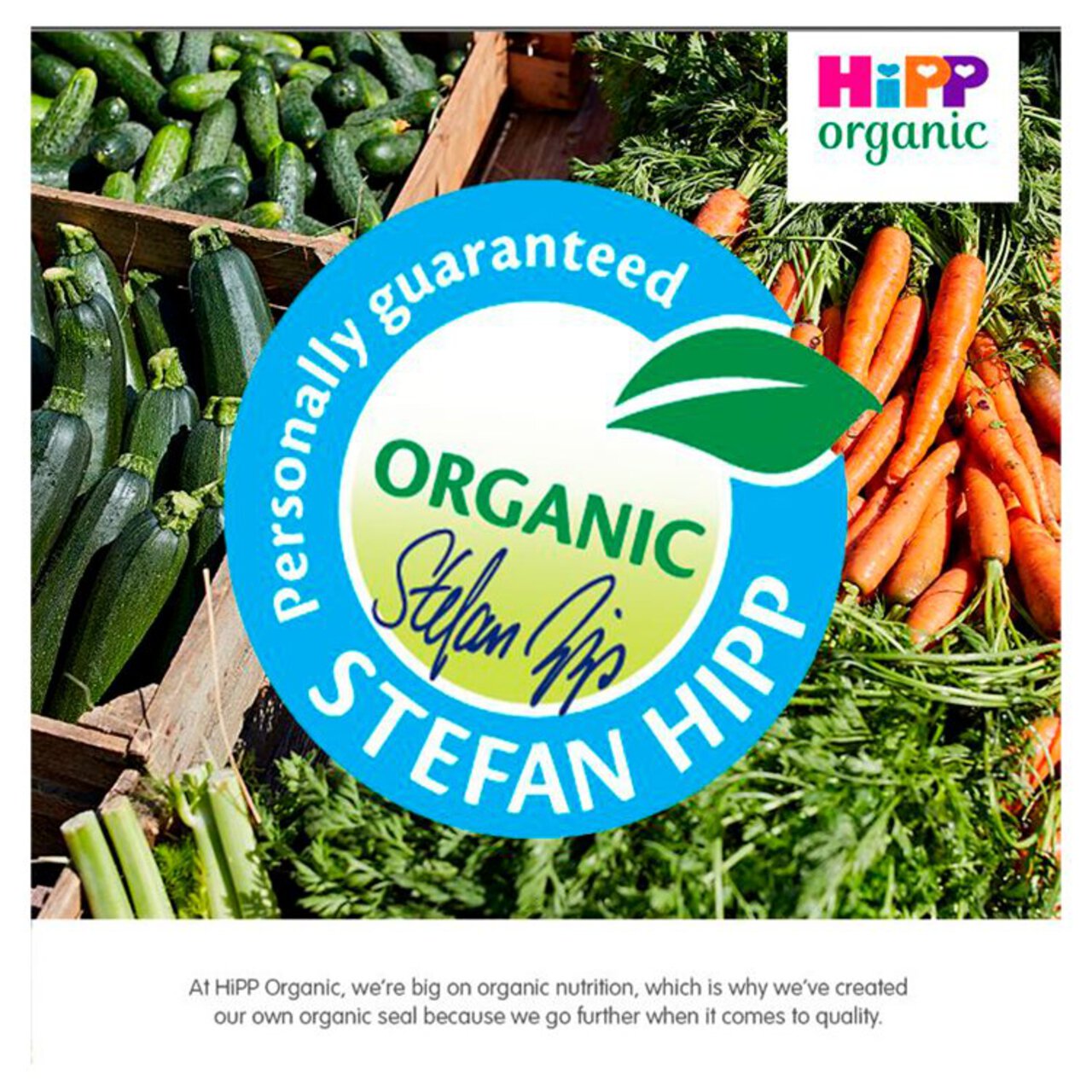 HiPP Organic Spaghetti Bolognese Baby Food Jar 7+ Months 190g