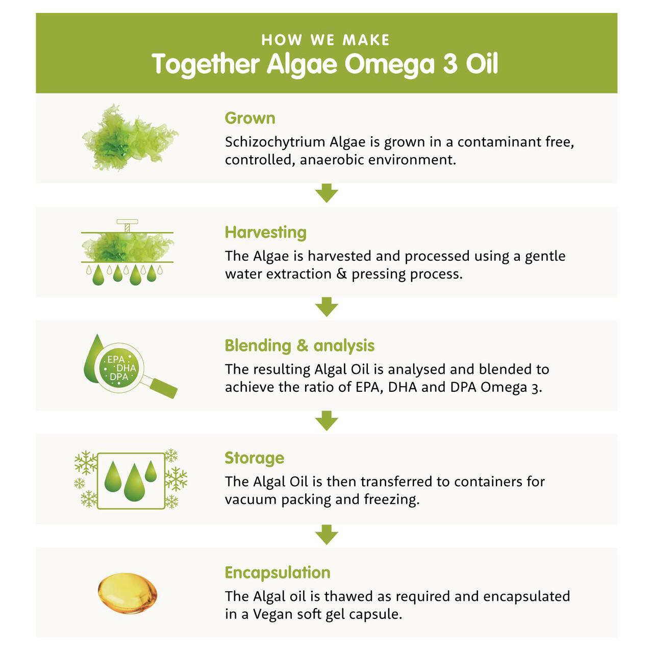 Together Omega-3 from DHA & EPA Rich Algae Vegetable Capsules 30 per pack