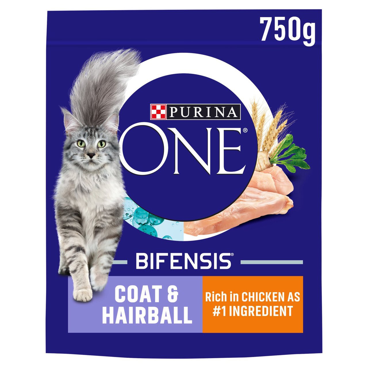 Purina ONE Coat and Hairball Dry Cat Food Chicken 750g