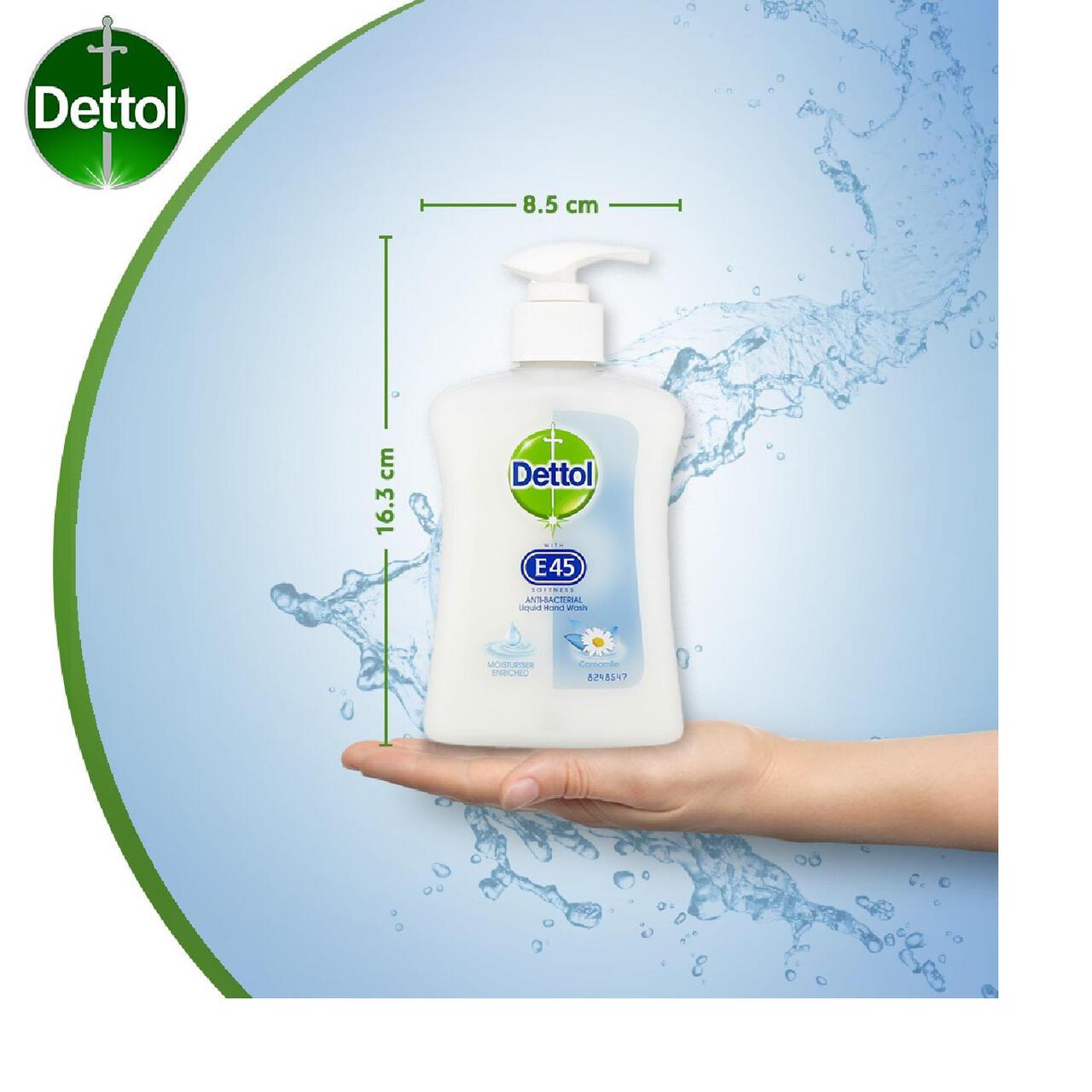 Dettol E45 Antibacterial Liquid Handwash Moisture Camomile 250ml