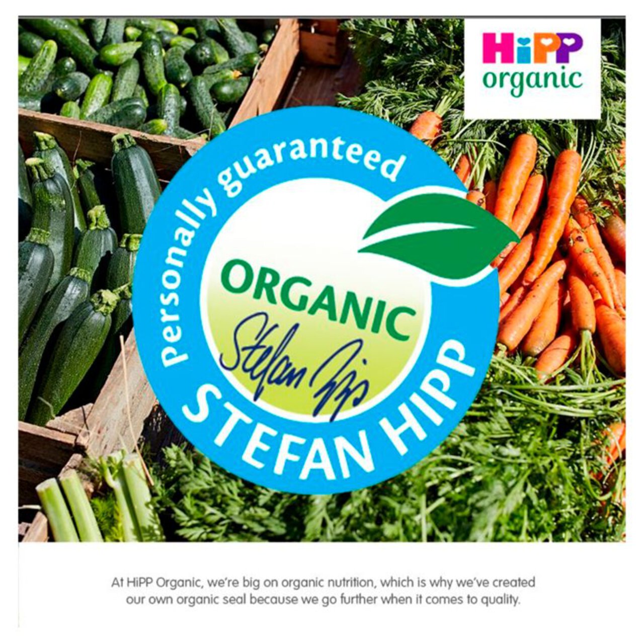 HiPP Organic Spaghetti Bolognese Toddler Tray Meal 1-3yrs 230g
